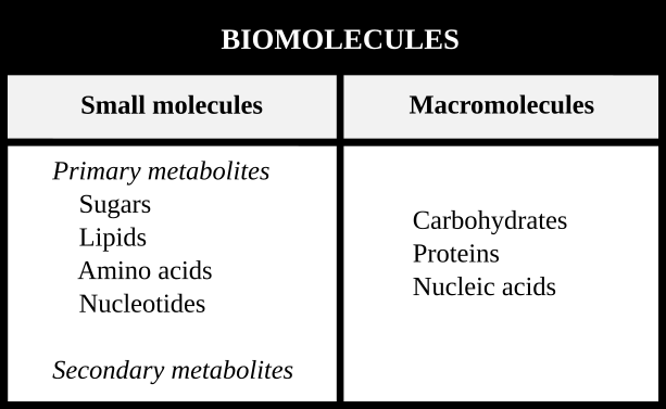 biomolecule definition